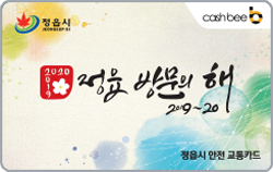 정읍시, 2019, 2020, 정읍 방문의 해 2019~20, cashbee, 정읍시 안전 교통카드
