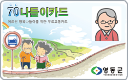 70나들이카드, 어르신 행복나들이를 위한 무료교통카드, 영동군