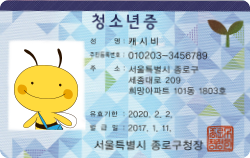 청소년증, 성명 : 캐시비, 주민등록번호, 010203-3456789, 주소 : 서울특별시 종로구 세종대로 209 희망아파트 101동 1803호, 유효기간 : 2020.2.2., 발급일 : 2017.1.11., 서울특별시 종로구청장